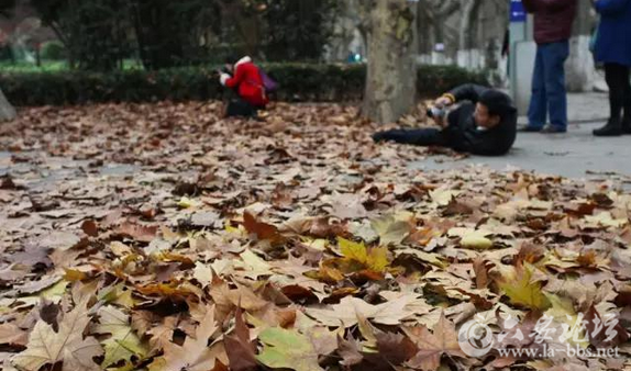 QQ截图20151125141902.png