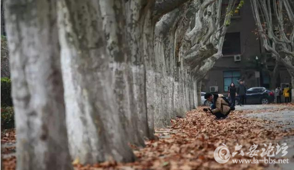 QQ截图20151125141911.png