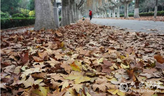 QQ截图20151125141917.png