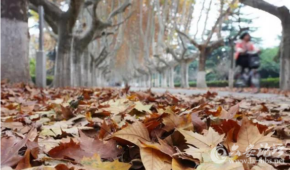 QQ截图20151125141930.png