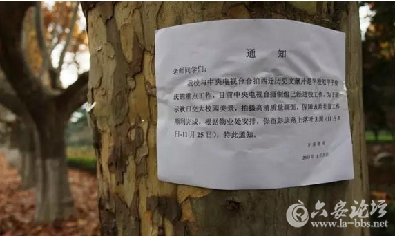 QQ截图20151125141953.png