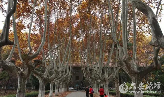 QQ截图20151125141947.png