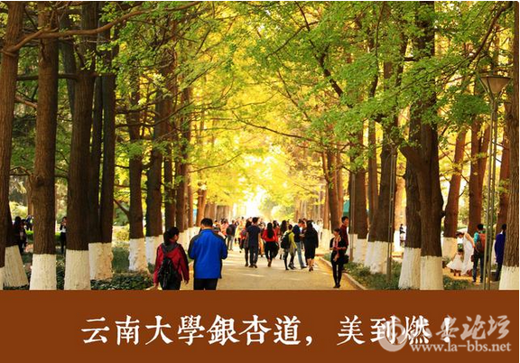 QQ截图20151127135720.png