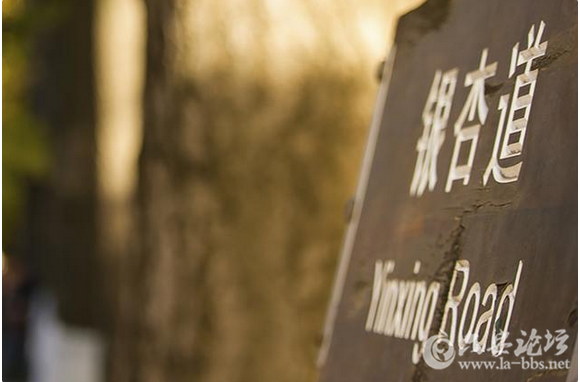 QQ截图20151127135756.png