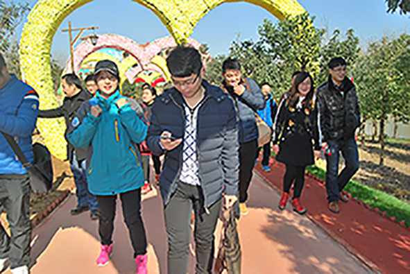 公司出游 公司出游