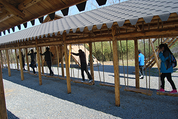 公司出游 公司出游