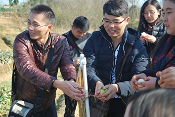 公司出游 公司出游