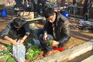 公司出游 公司出游