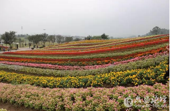 QQ截图20151209144824.png