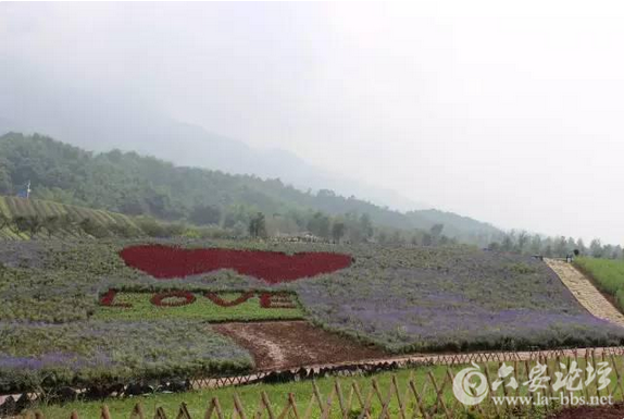 QQ截图20151209144850.png
