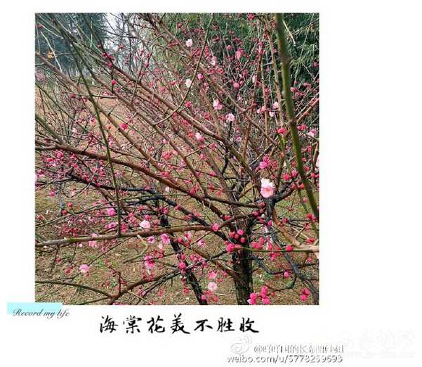 QQ截图20160218110142.jpg