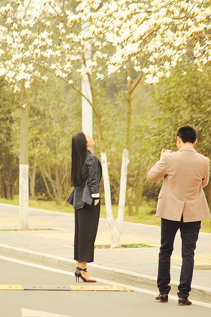 皖西学院玉兰大道 (16).jpg