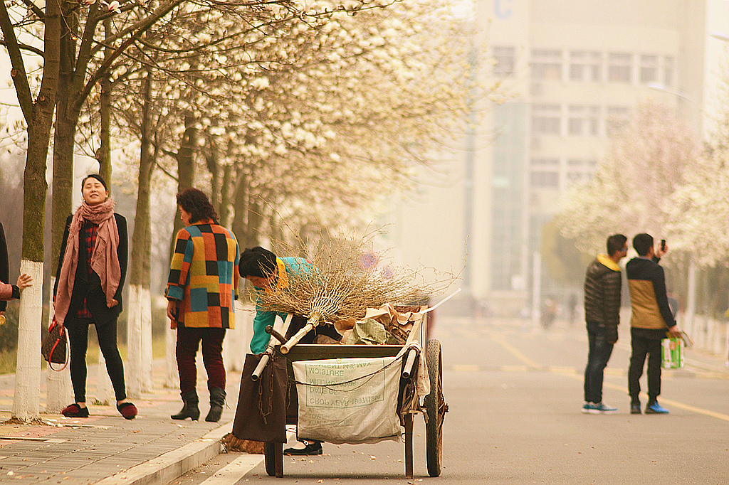 皖西学院玉兰大道 (15).jpg