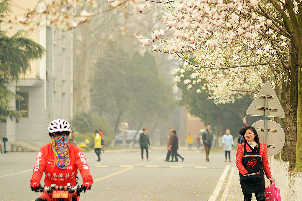 皖西学院玉兰大道 (11).jpg