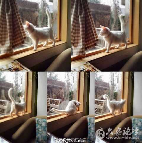 QQ截图20160322112920.jpg