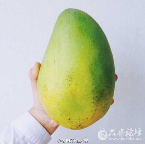 QQ截图20160324105903.jpg