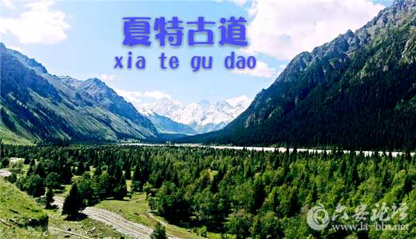 mmexport1435153141647_mh1435153391852.jpg
