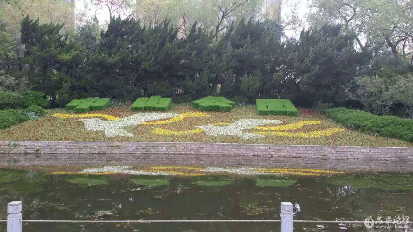 1460428147566.jpg