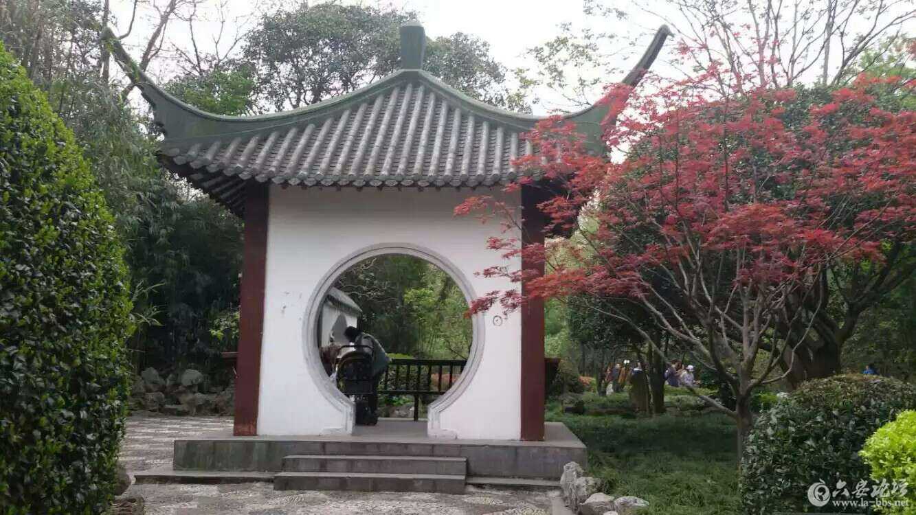 1460428151876.jpg