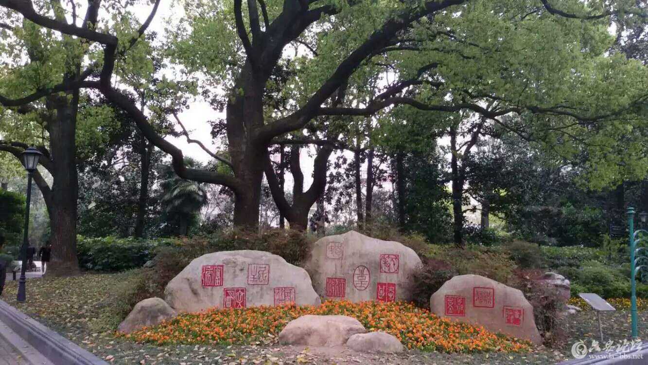 1460428153435.jpg