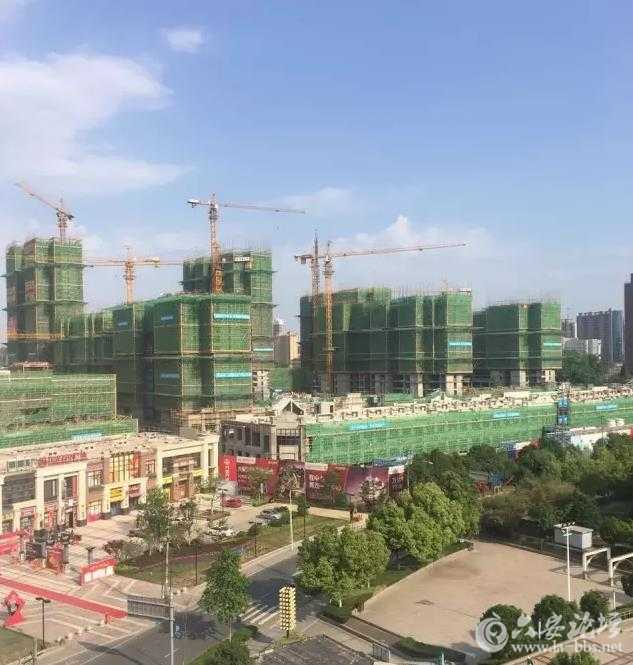 蓝6.jpg