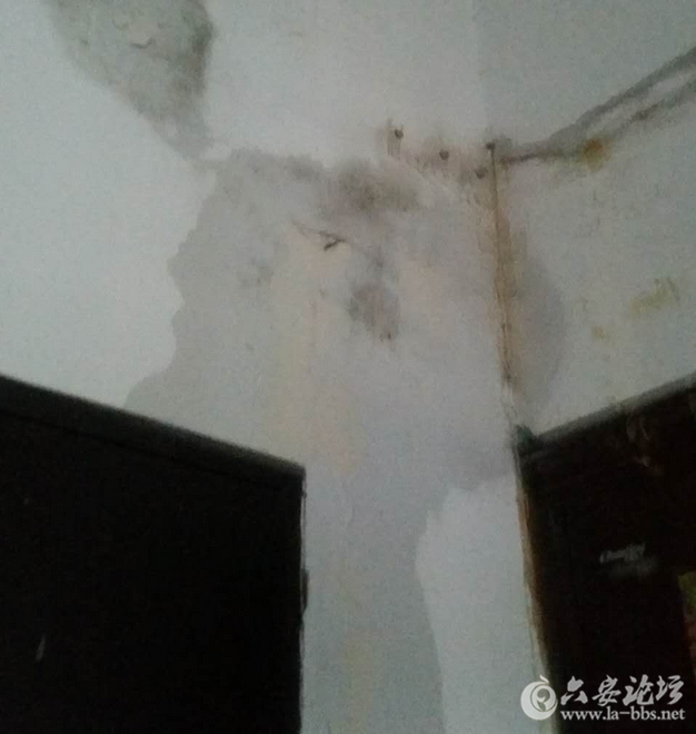 QQ截图20160507092343.png