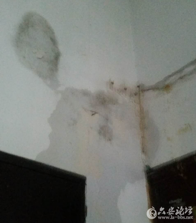 QQ截图20160507092412.png