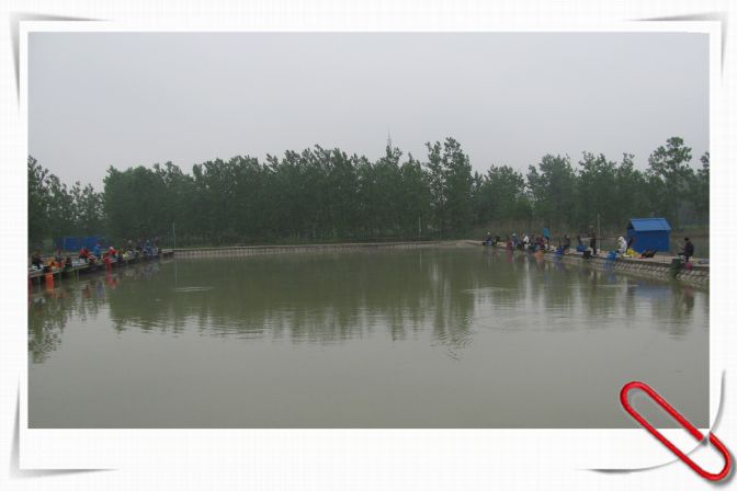 10.JPG
