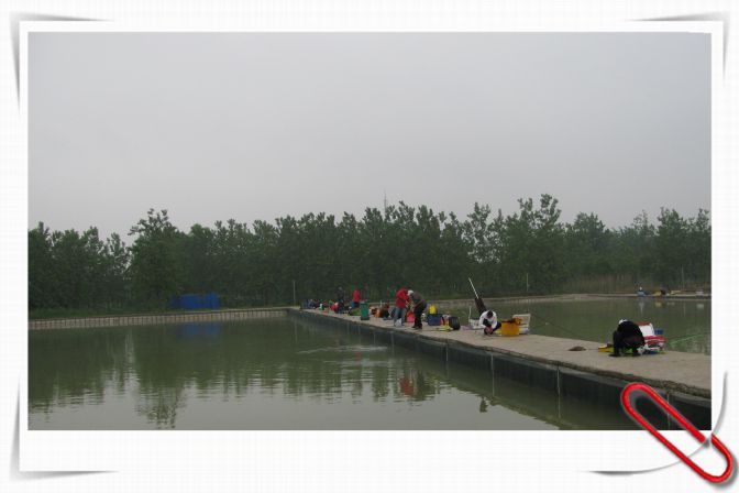 9.JPG