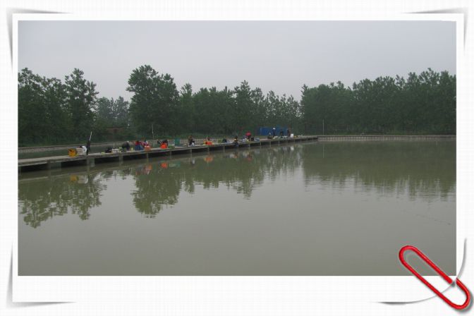 8.JPG
