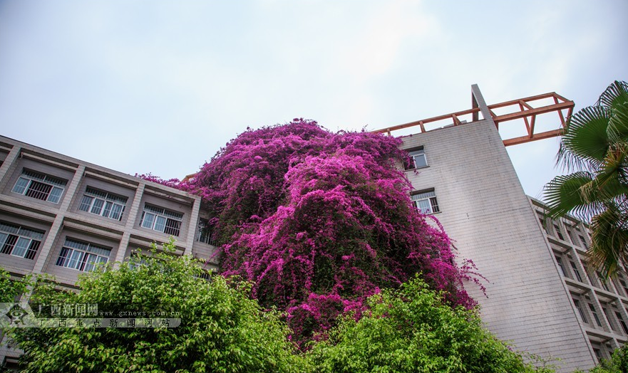 QQ截图20160522172005.png