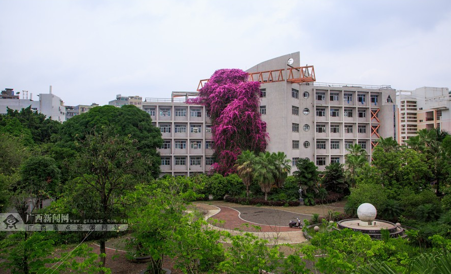 QQ截图20160522172020.png