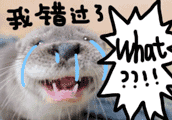 f527c04063530a505fe8414ccf0e75fc.gif
