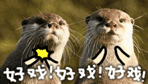 29b653231fe87959290121cfc9628c64.gif