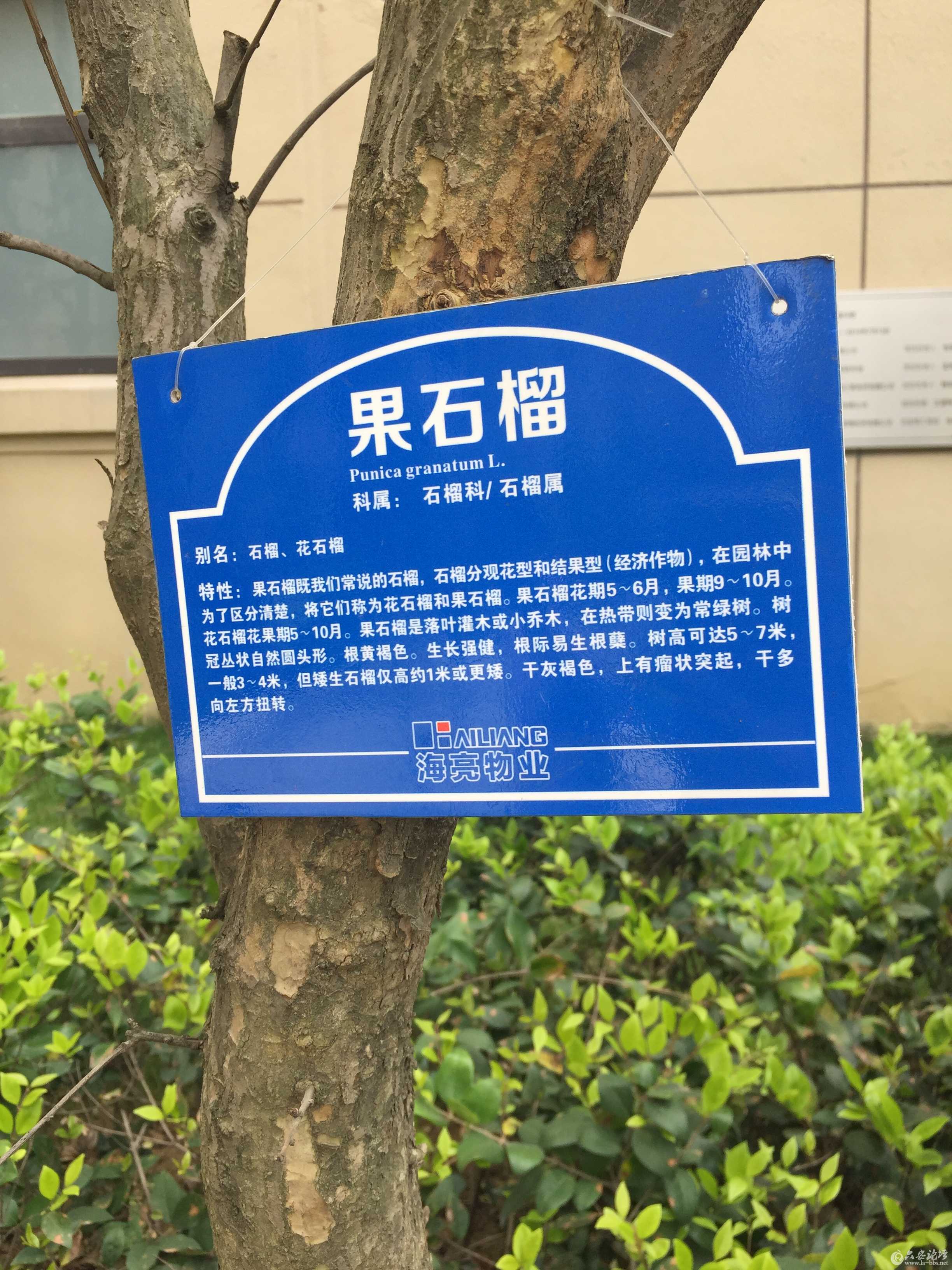 海亮物业在全国（5）.JPG