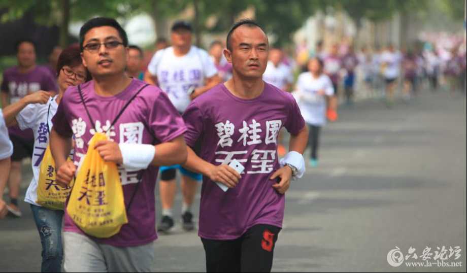 QQ截图20160610150754.jpg