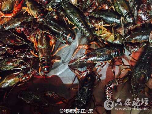 QQ截图20160620113114.jpg