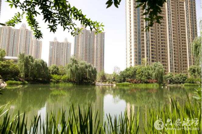 QQ截图20160621083317.jpg