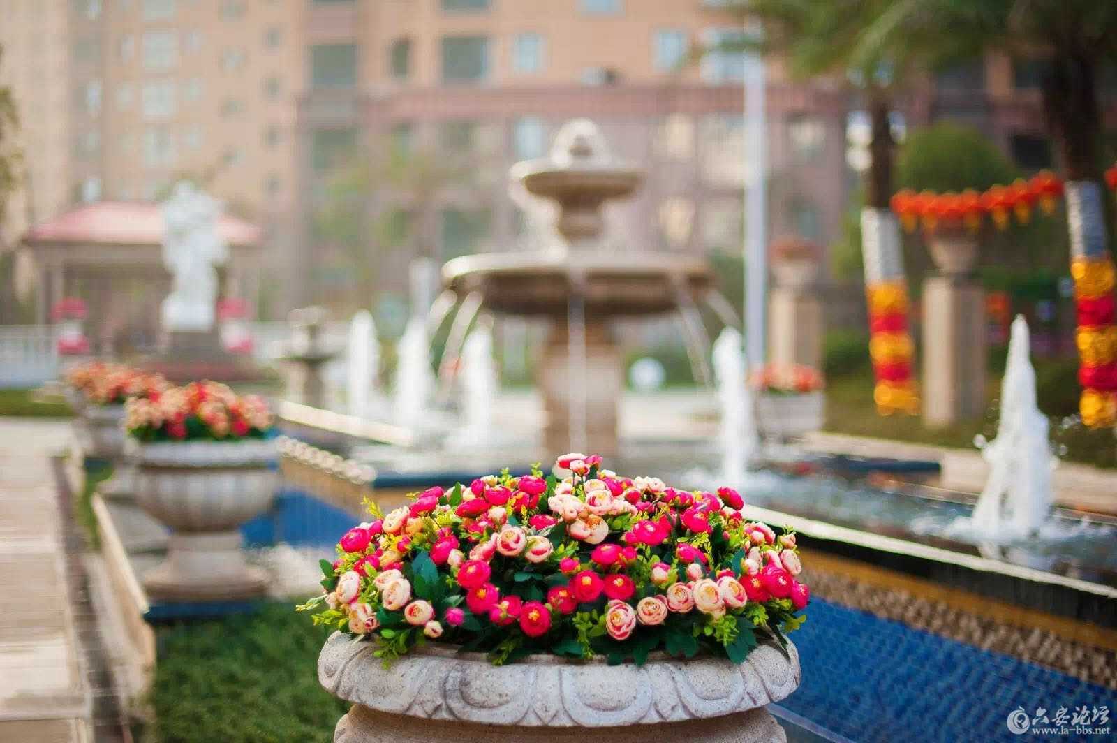 花坛.jpg