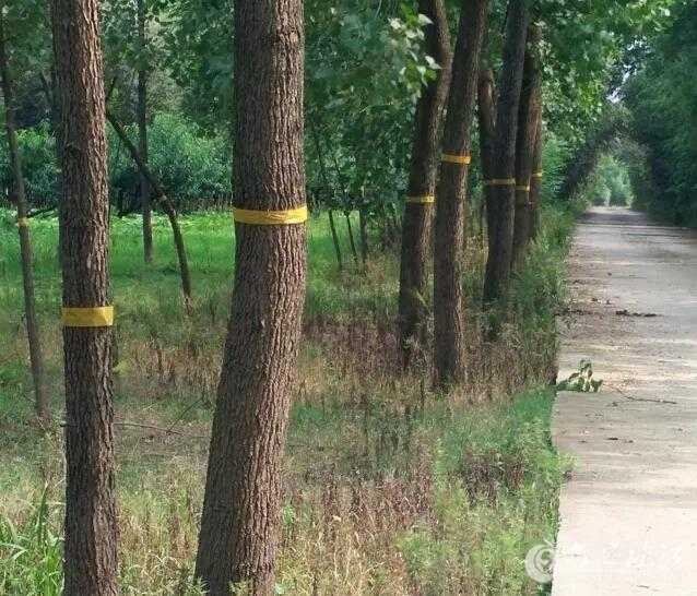 QQ截图20160715082820 - 副本.jpg