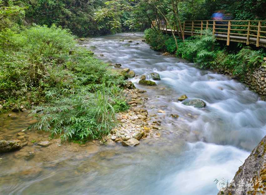 19张家界大峡谷_副本.jpg