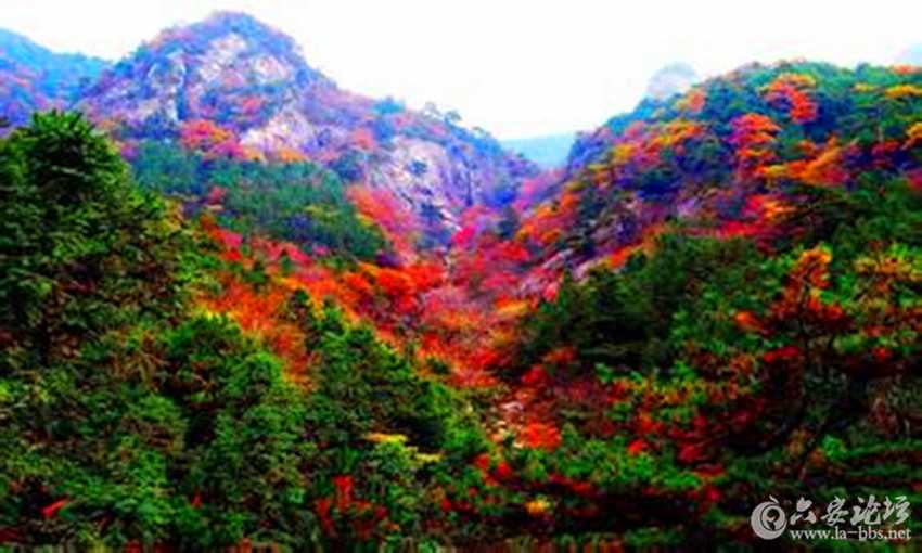 27岳西明堂山_副本.jpg