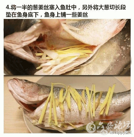 4.gif