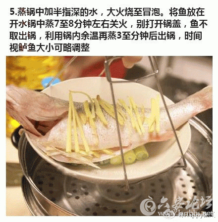 5.gif