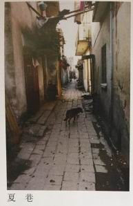 夏巷.jpg