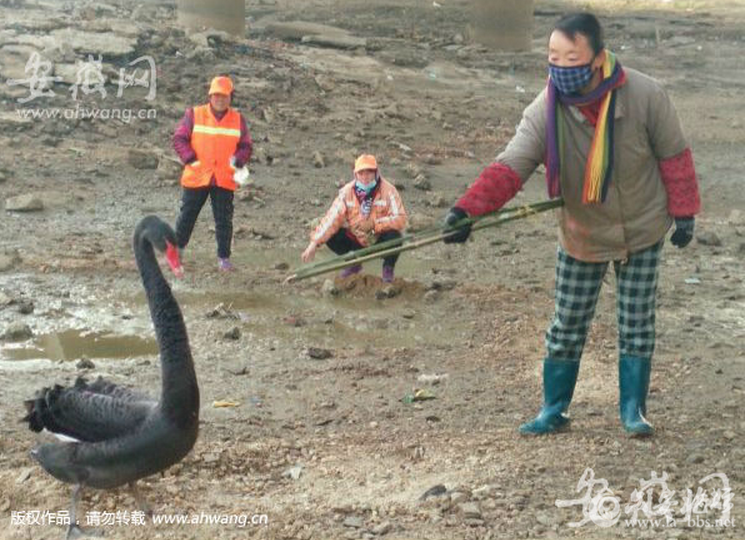 QQ截图20160717084156.png QQ截图20160717084156.png