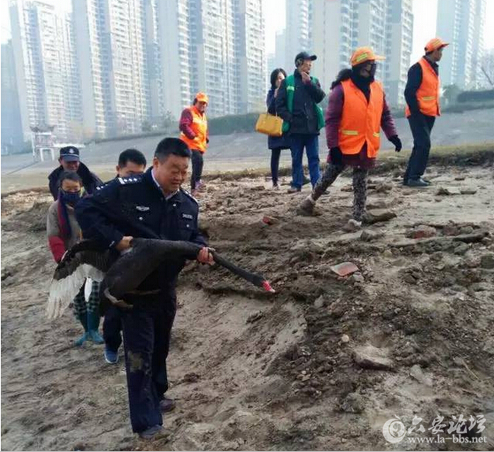 QQ截图20160717102530.png QQ截图20160717102530.png