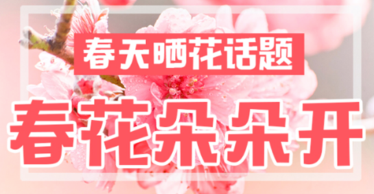 QQ截图20170306165957.png