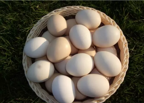 QQ截图20170406093154.png QQ截图20170406093154.png