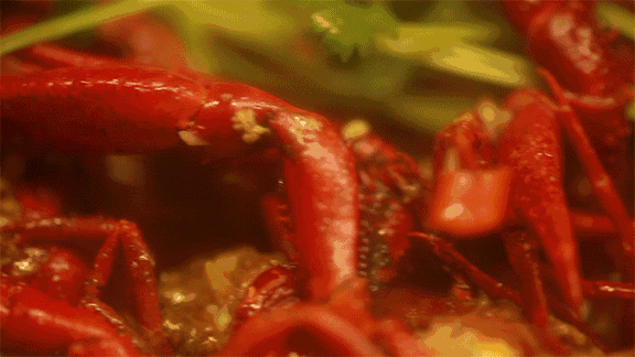 2.gif
